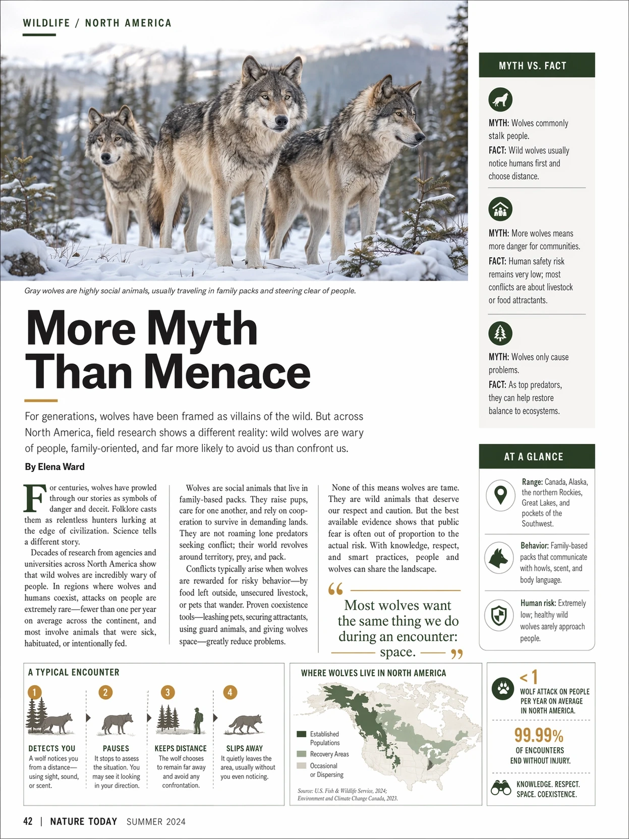 Official OpenAI image example of a wolf magazine infographic spread